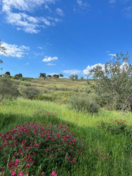 Willa Casa Country Agrigento Zewnętrze zdjęcie